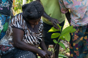 Women in Agriculture - Papua New Guinnea